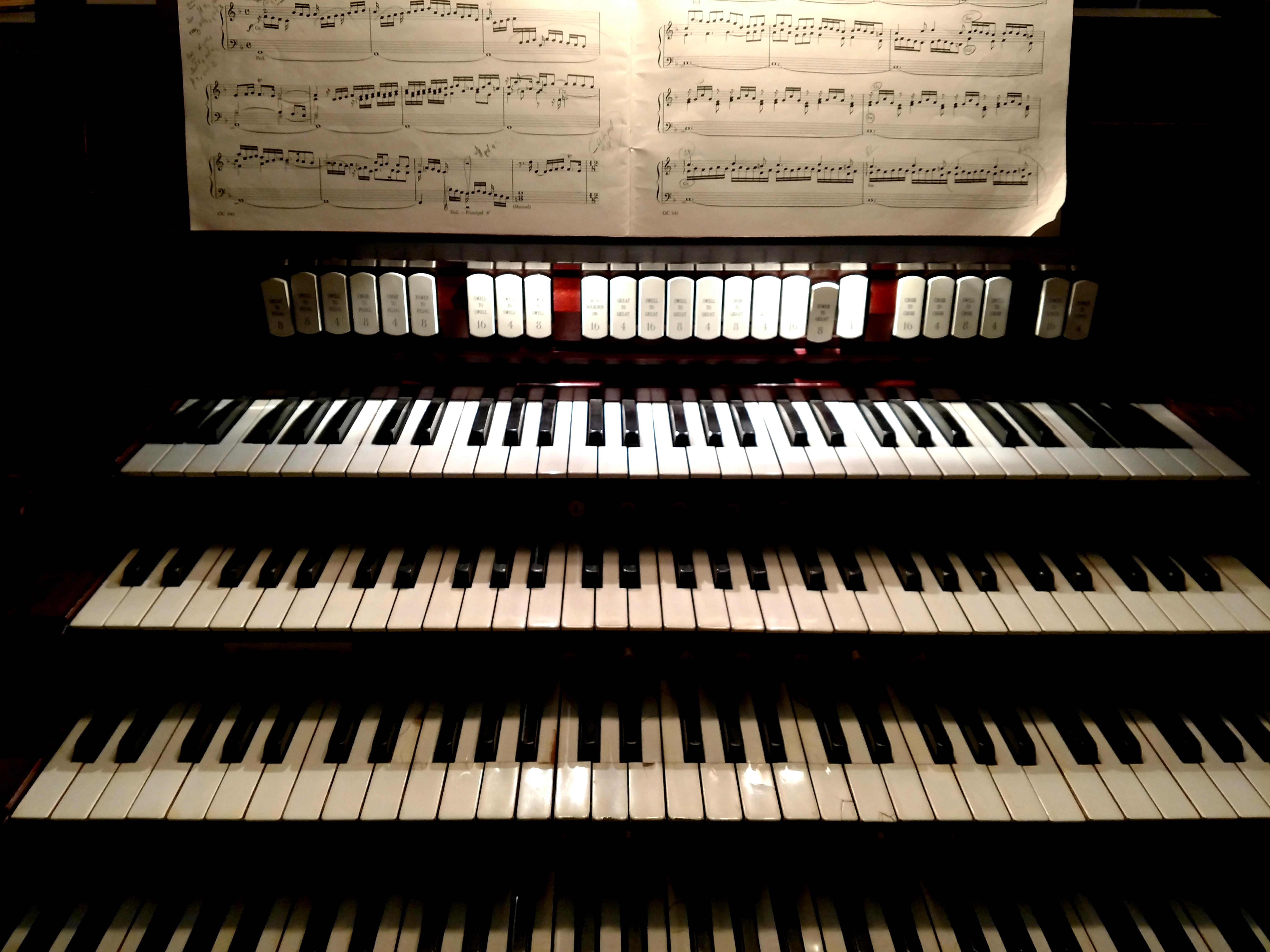 6. Organ.jpg